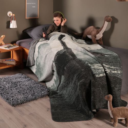 Biederlack Kinder- und Jugenddecke - Brachio